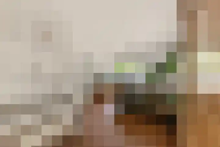 Van den Berghlaan 407 Hoofddorp thumbnail 8