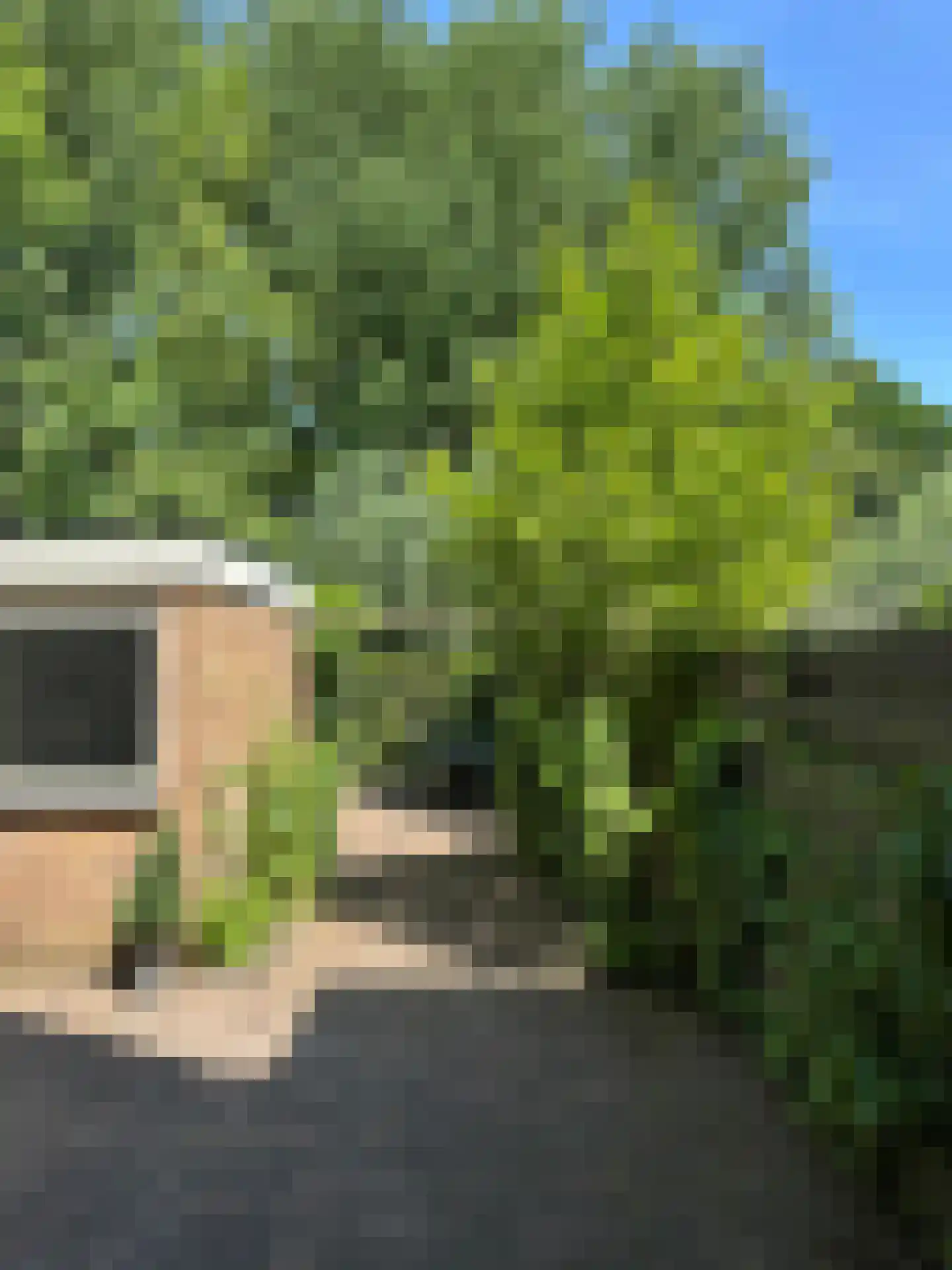 Van den Berghlaan 409 Hoofddorp thumbnail 37