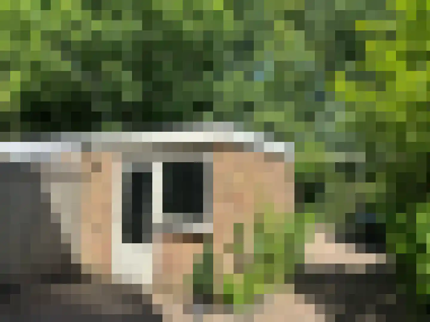 Van den Berghlaan 409 Hoofddorp thumbnail 38