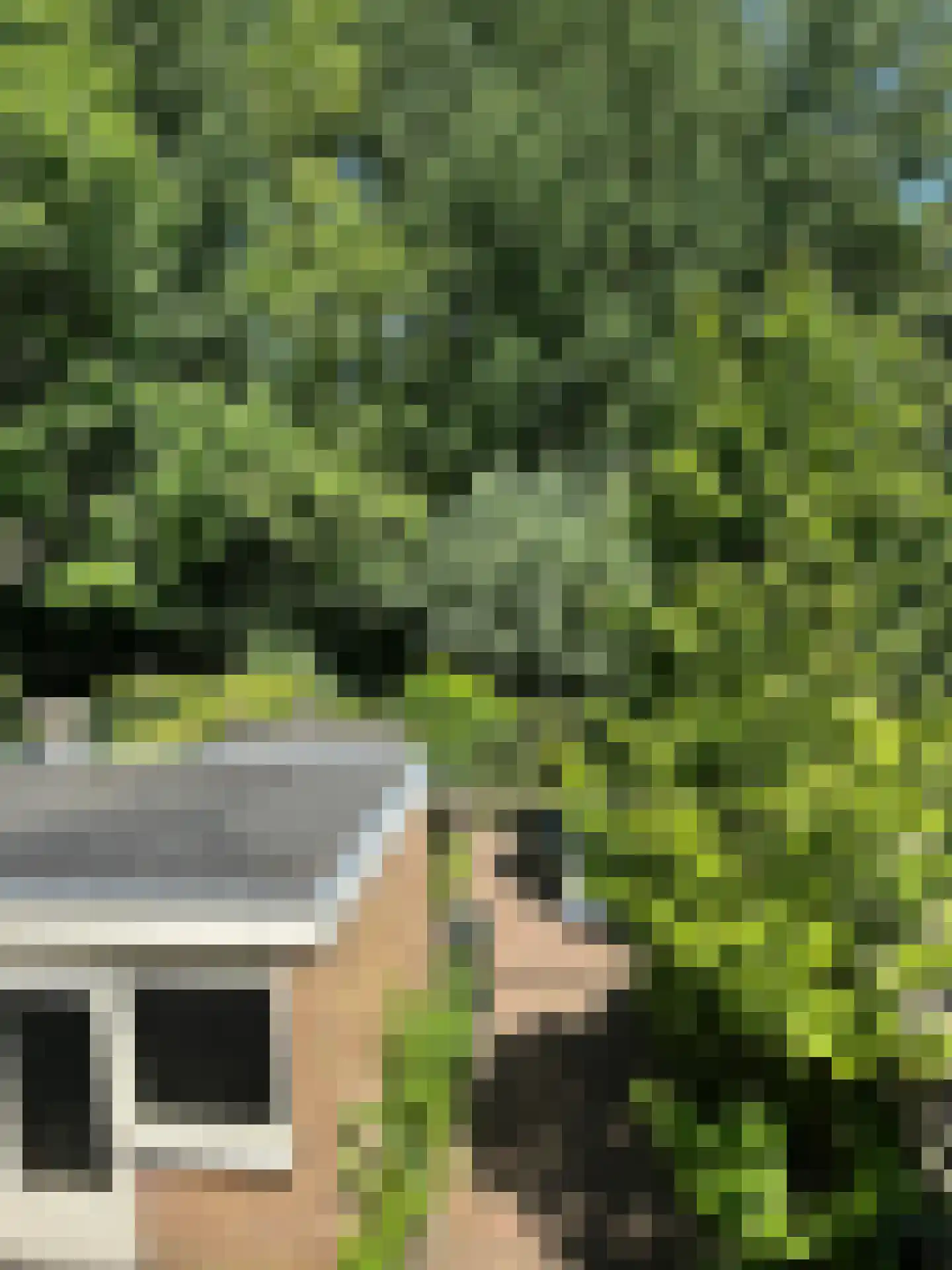 Van den Berghlaan 409 Hoofddorp thumbnail 40