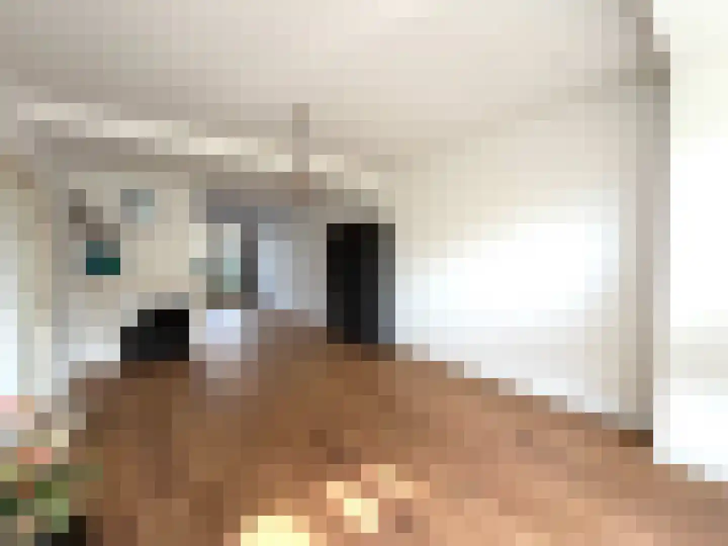 Van den Berghlaan 409 Hoofddorp thumbnail 7