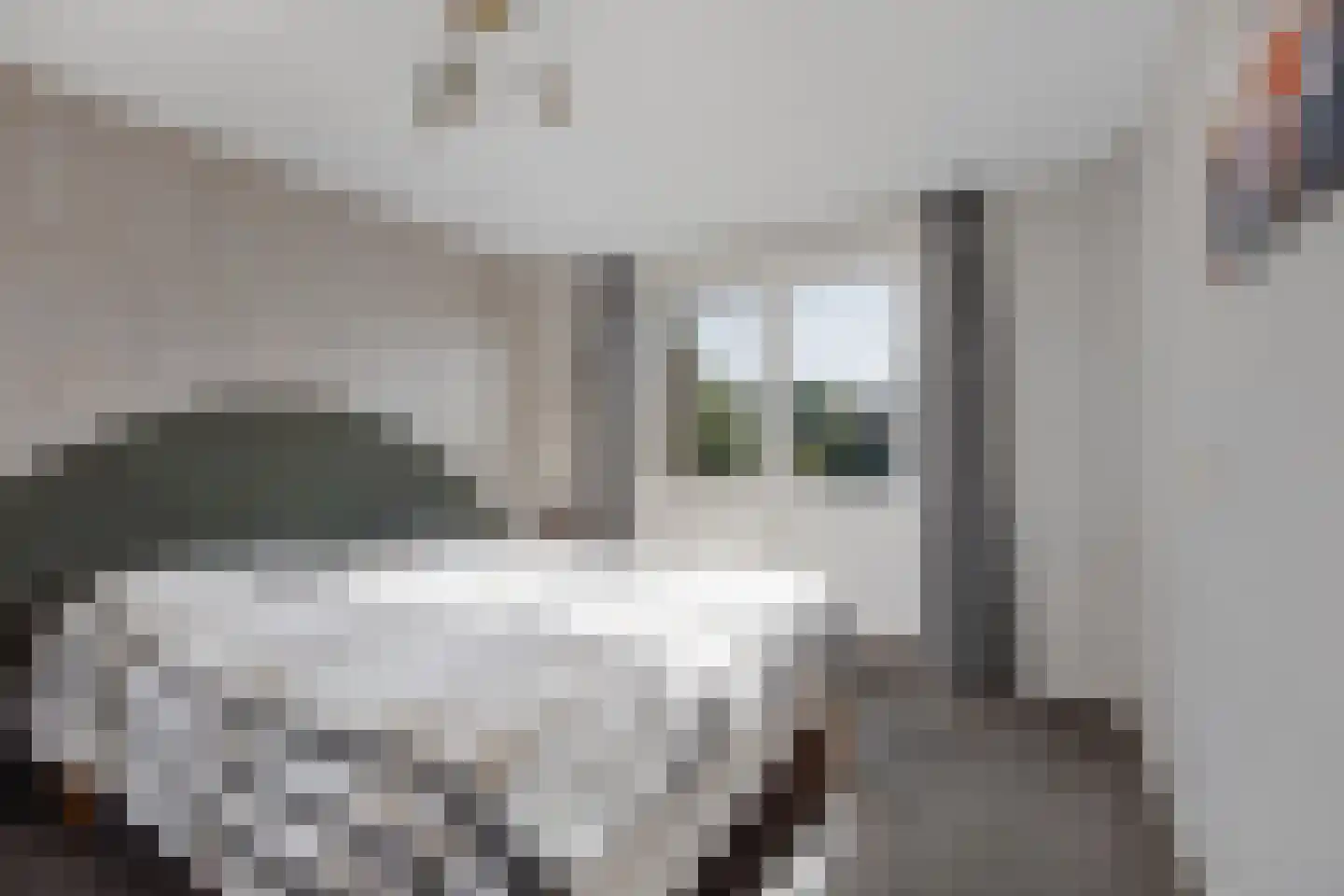 Van den Berghlaan 415 Hoofddorp thumbnail 14