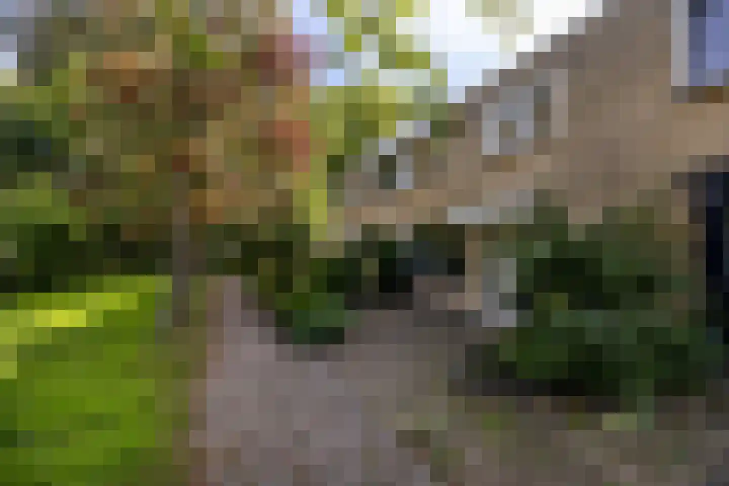Van den Berghlaan 415 Hoofddorp thumbnail 23