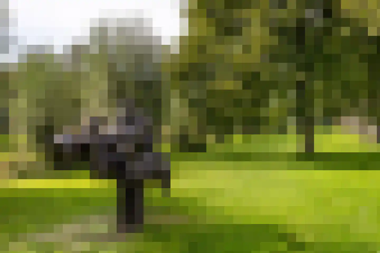 Van den Berghlaan 415 Hoofddorp thumbnail 27