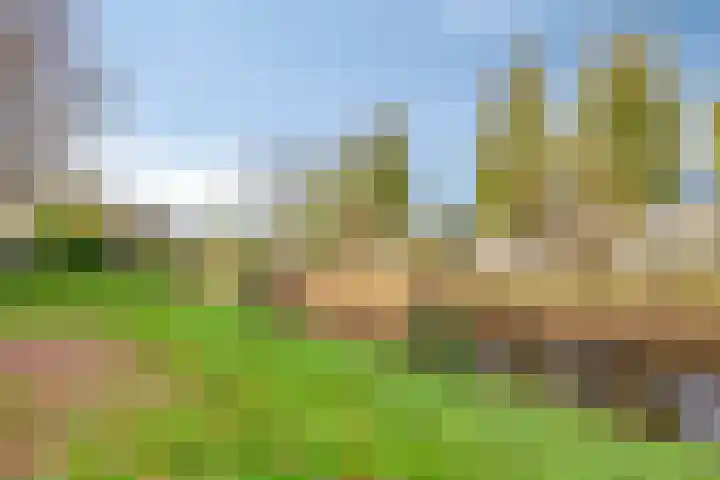Van den Berghlaan 419 Hoofddorp thumbnail 33