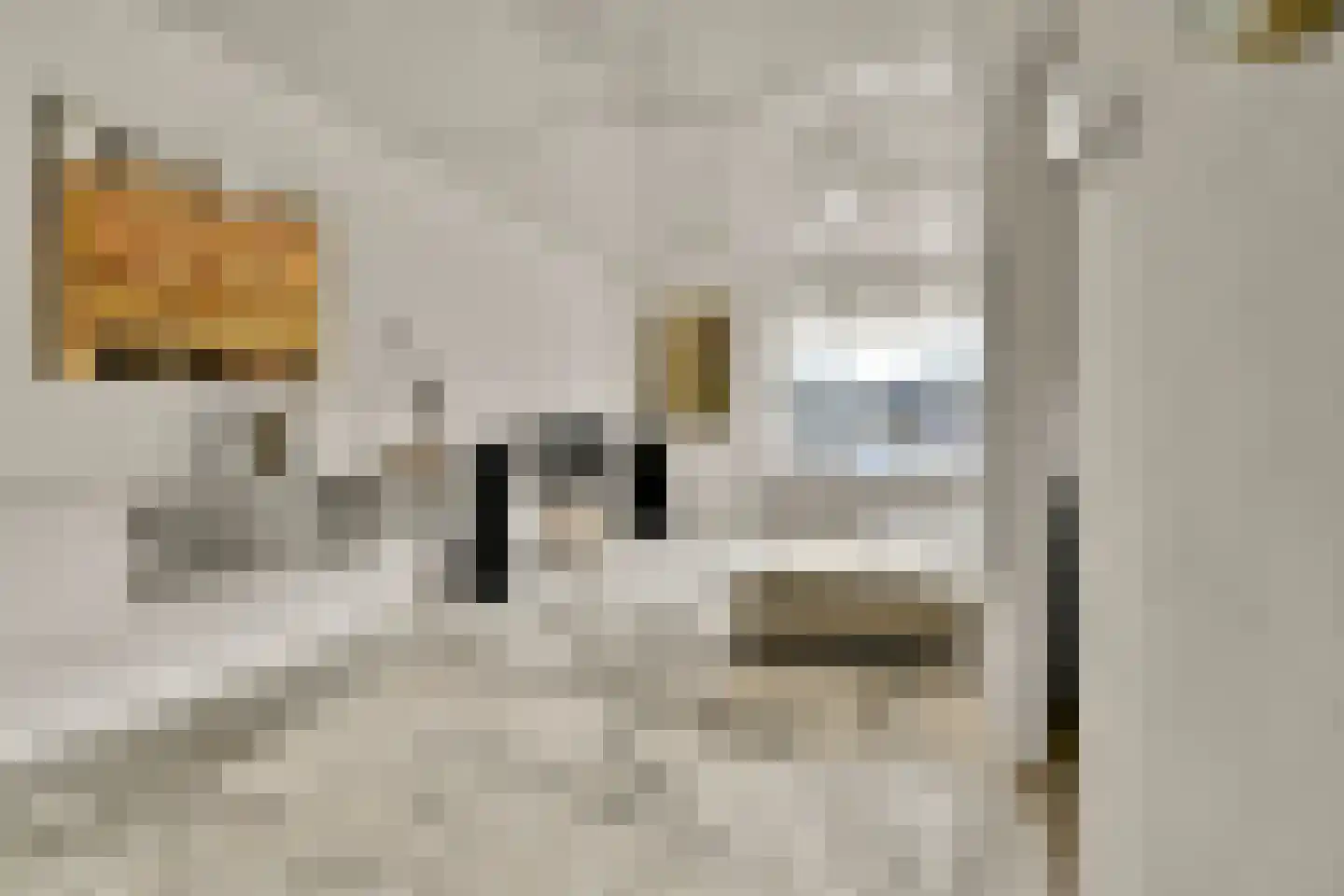 Van den Berghlaan 453 A Hoofddorp thumbnail 7