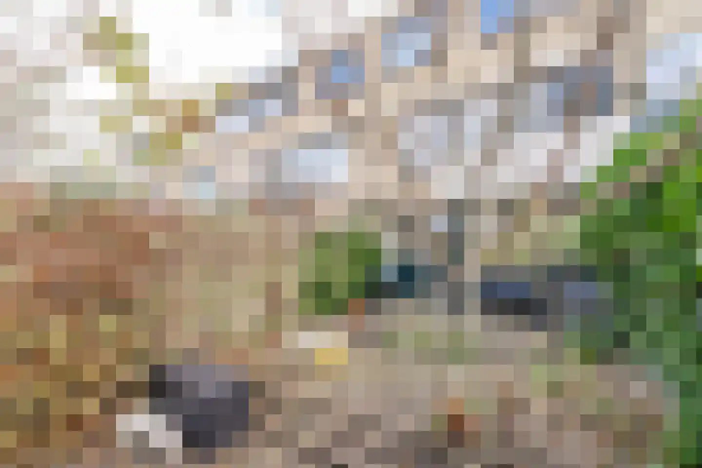 Van den Berghlaan 461 Hoofddorp thumbnail 13