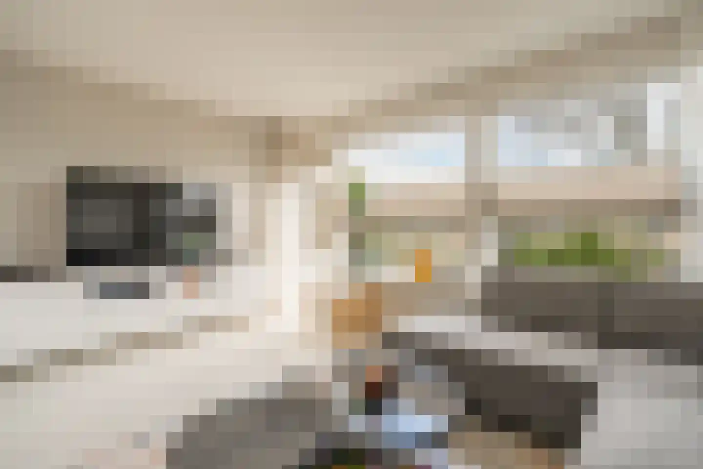 Van den Berghlaan 461 Hoofddorp thumbnail 22