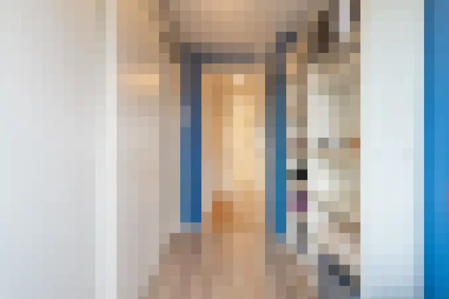 Van den Berghlaan 461 Hoofddorp thumbnail 37