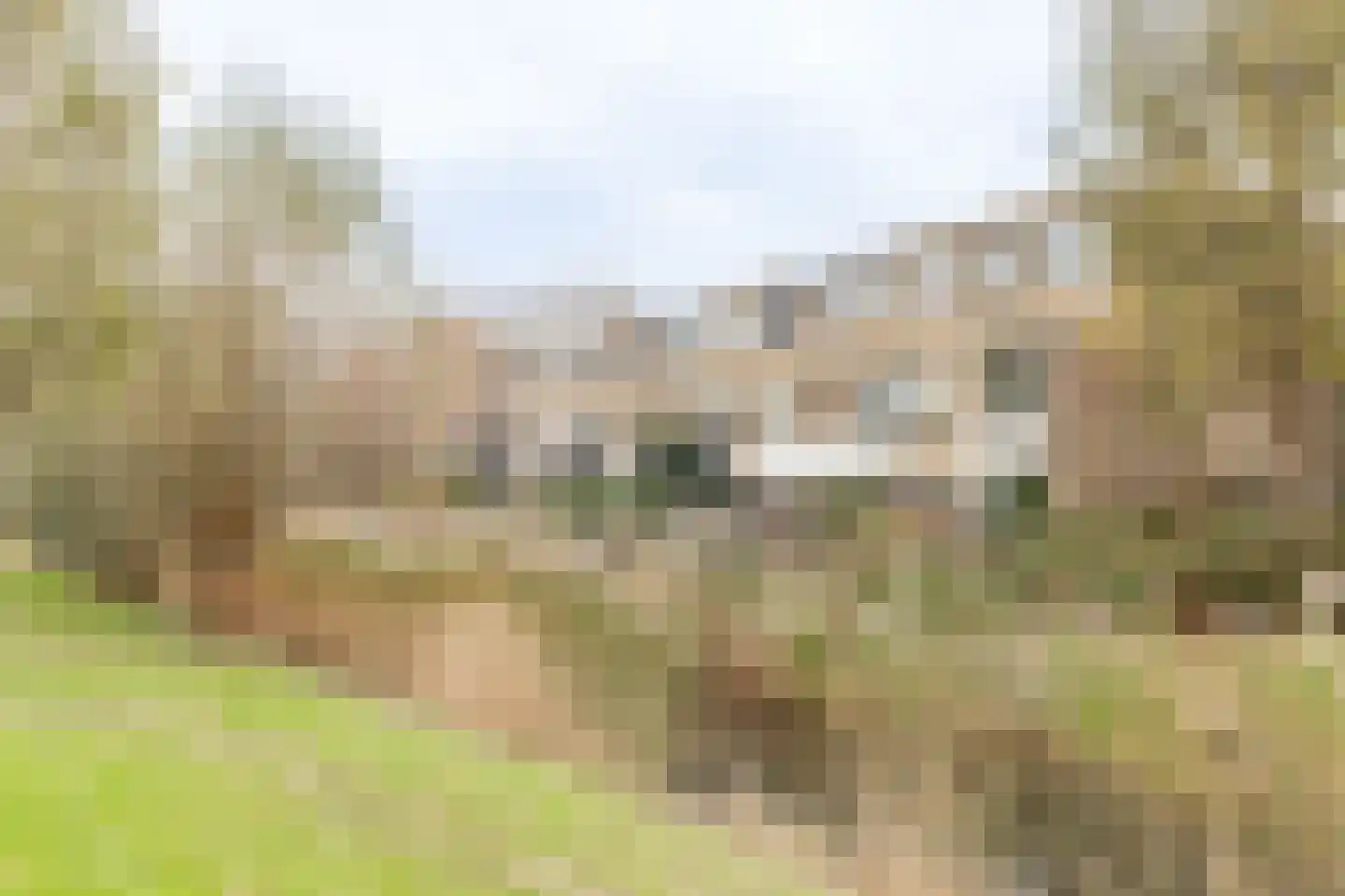 Van den Berghlaan 461 Hoofddorp thumbnail 41