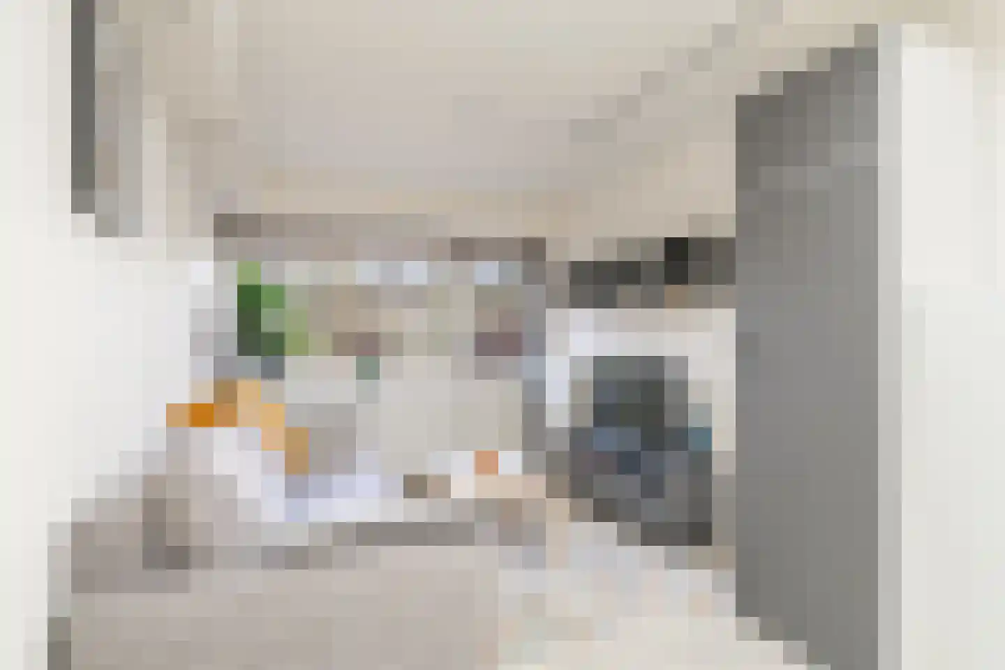Van den Berghlaan 461 Hoofddorp thumbnail 7