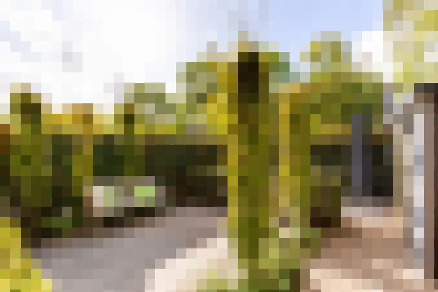 Van den Berghlaan 471 Hoofddorp thumbnail 18