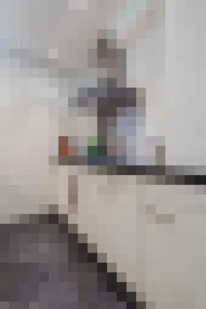 Van den Berghlaan 479 Hoofddorp thumbnail 15