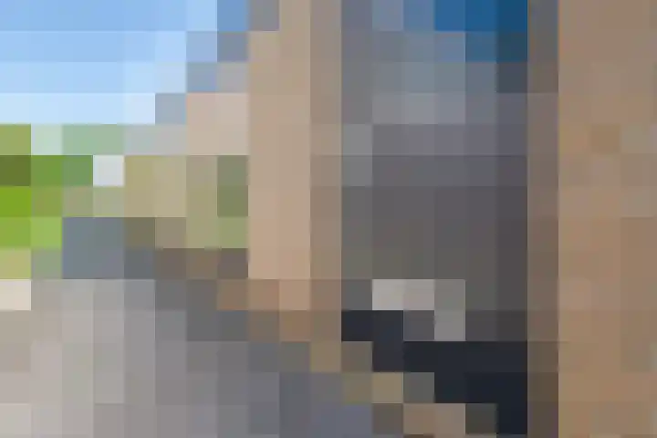 Van den Berghlaan 479 Hoofddorp thumbnail 27