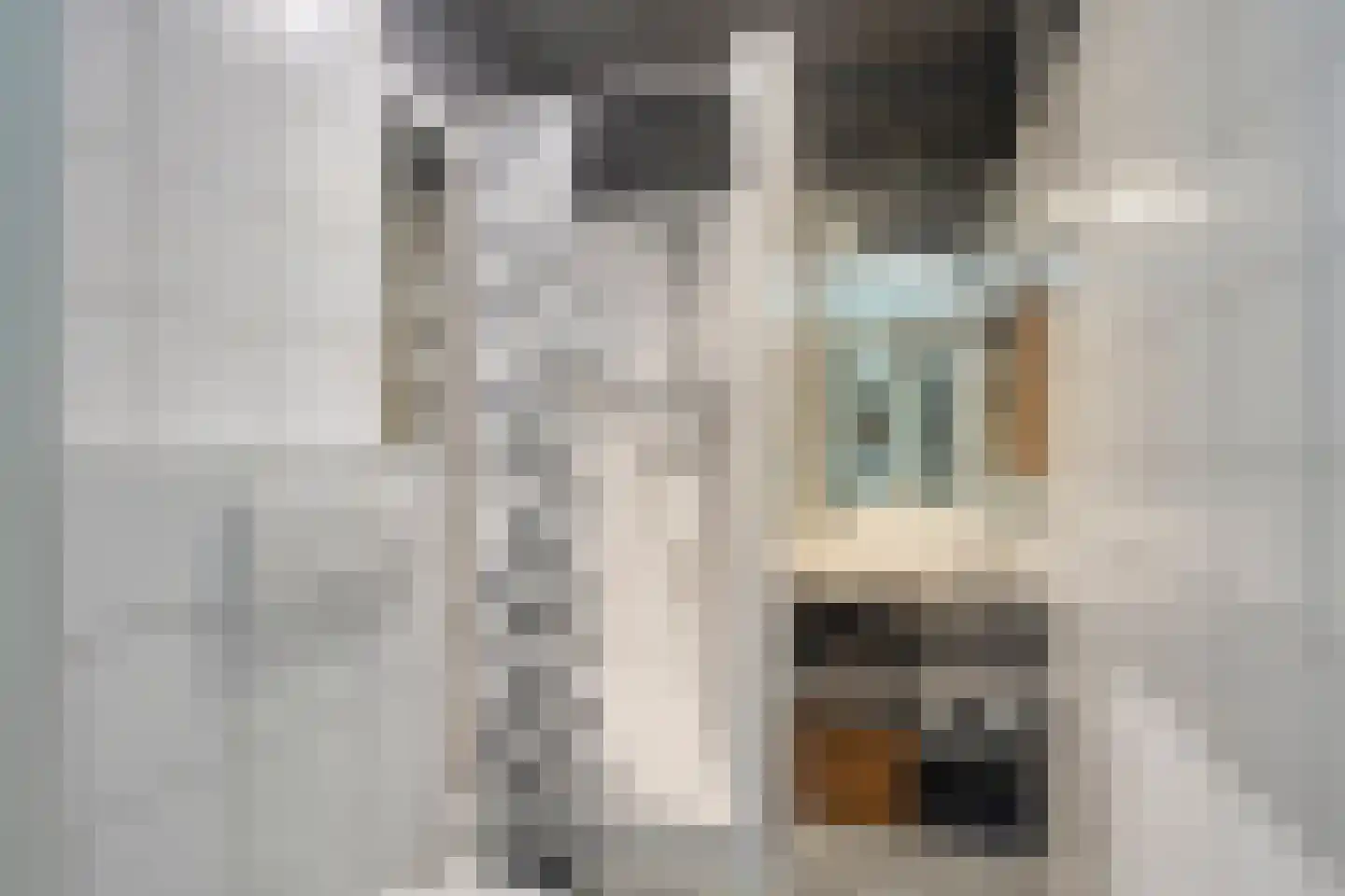 Van den Berghlaan 485 A Hoofddorp thumbnail 22