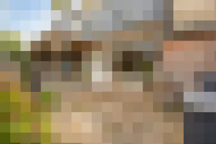 Van den Berghlaan 485 Hoofddorp thumbnail 19