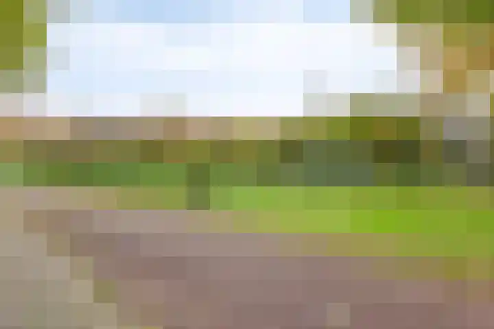 Van den Berghlaan 485 Hoofddorp thumbnail 22