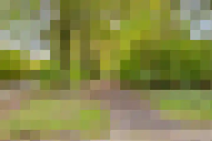 Van den Berghlaan 485 Hoofddorp thumbnail 5