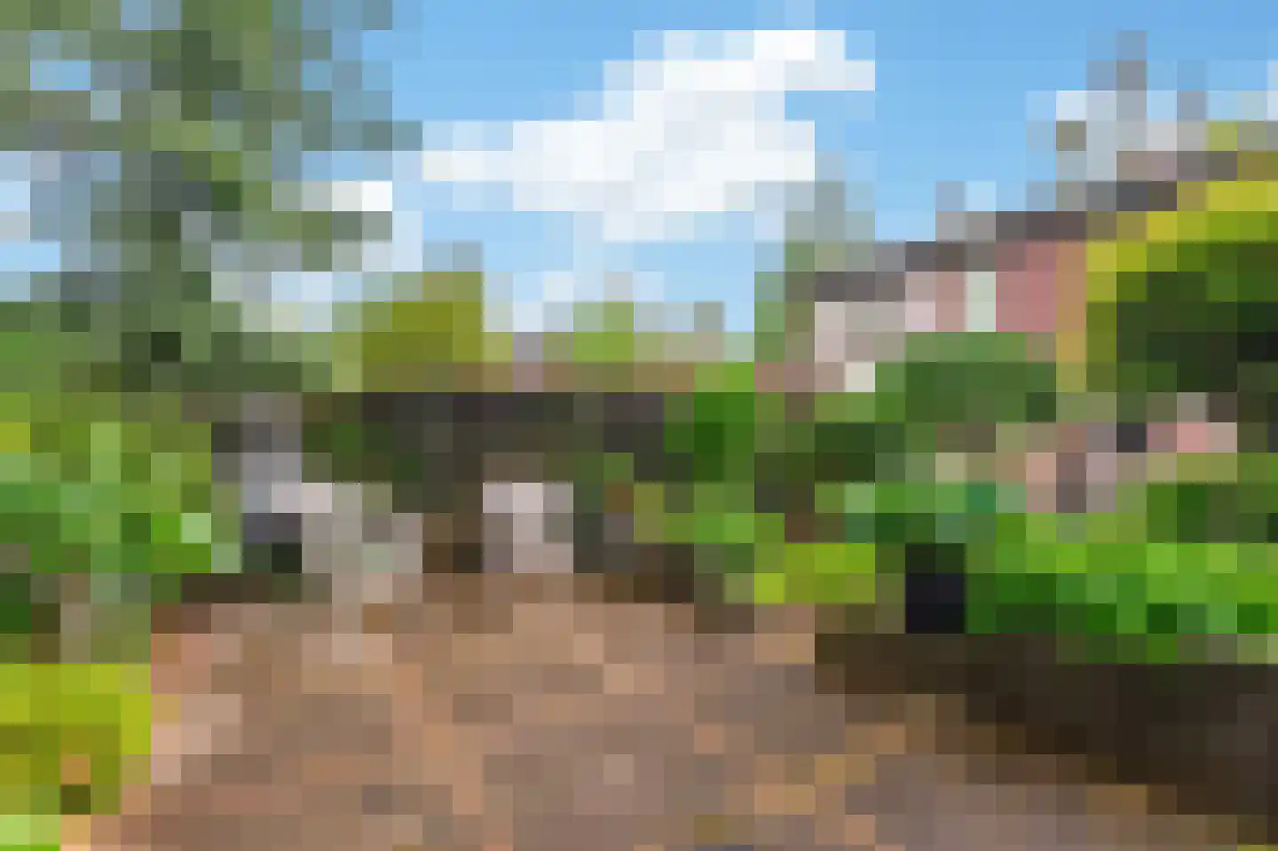 Van den Berghlaan 58 Ermelo thumbnail 33