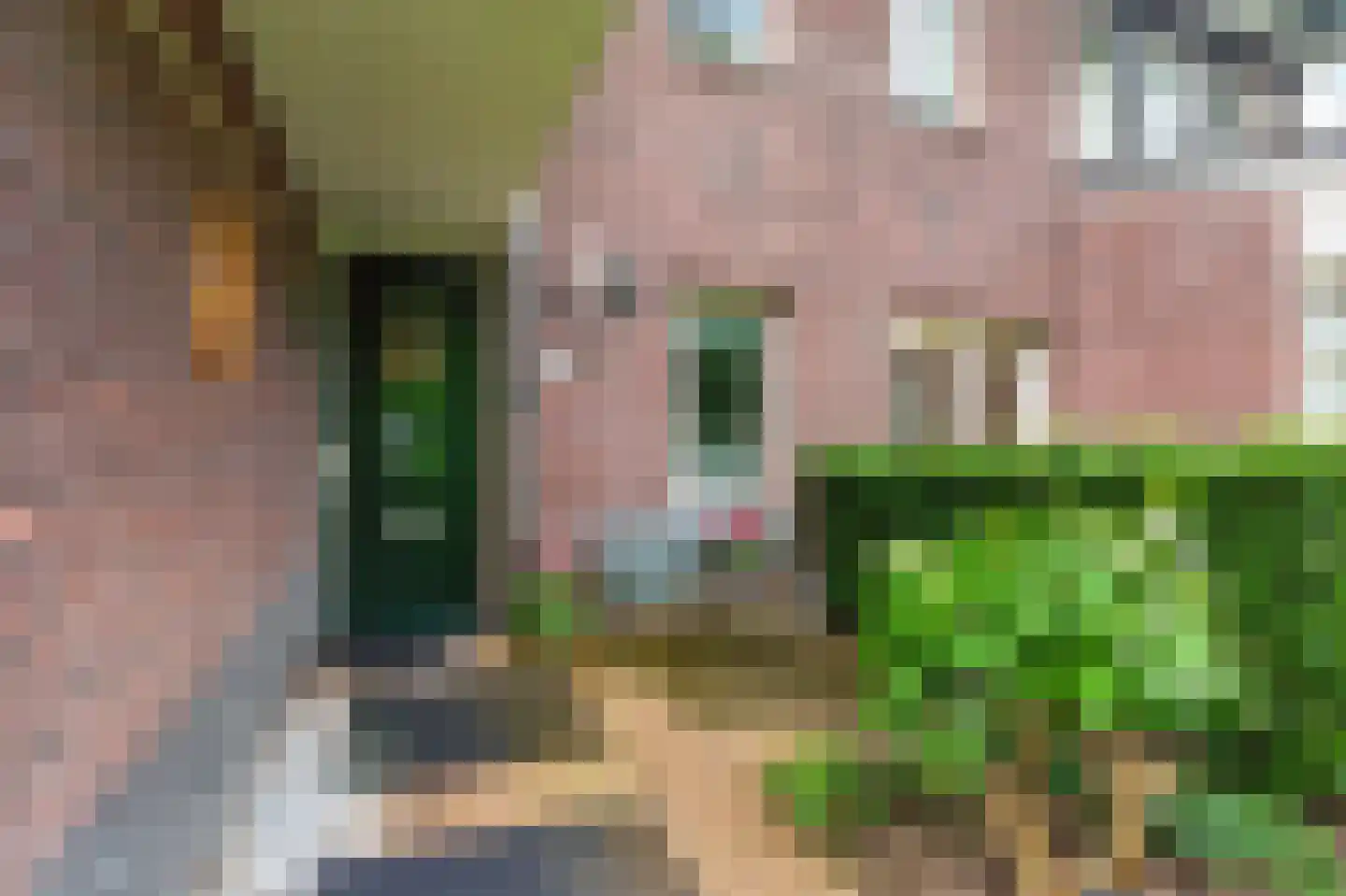 Van den Berghlaan 58 Ermelo thumbnail 43