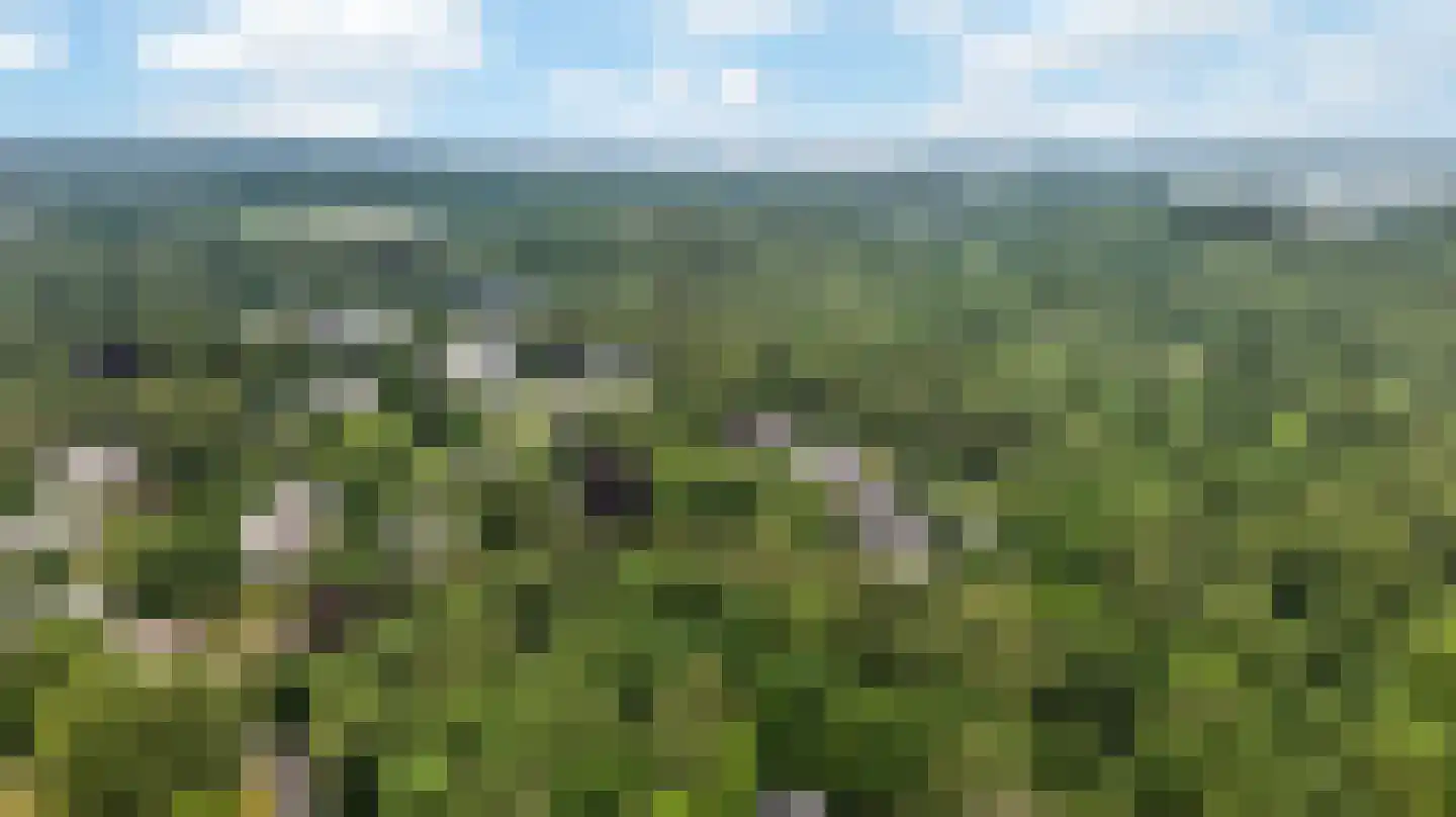 Van den Berghlaan 58 Ermelo thumbnail 53