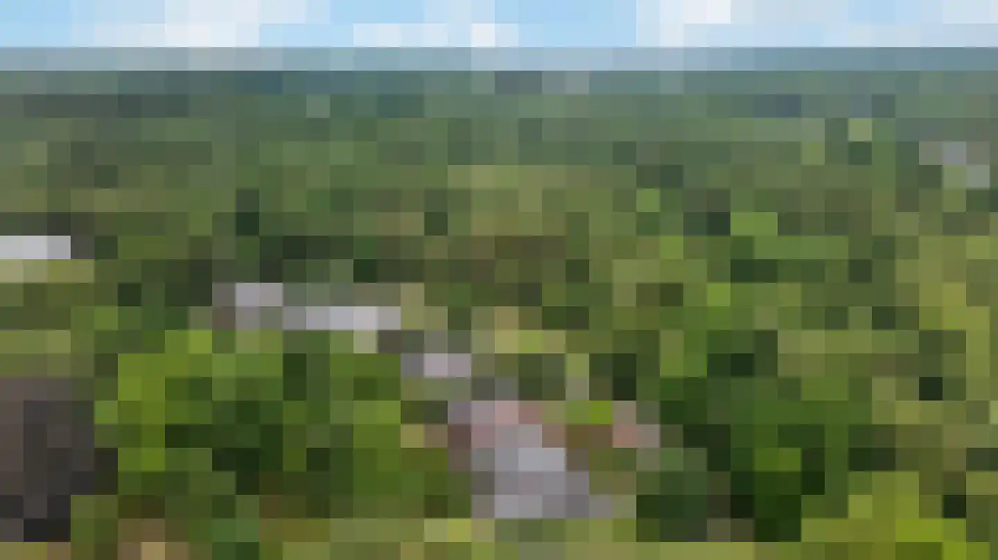 Van den Berghlaan 58 Ermelo thumbnail 54