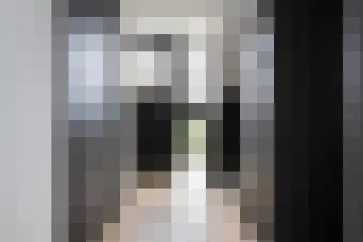 Van den Berghlaan 607 Hoofddorp thumbnail 19