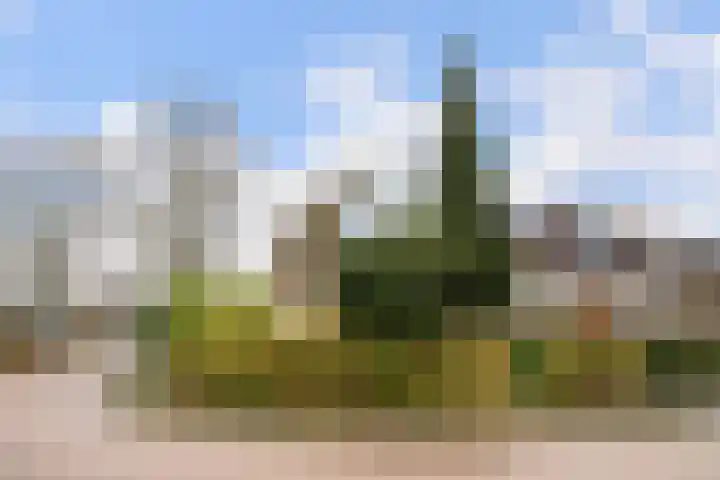 Van den Berghlaan 607 Hoofddorp thumbnail 6