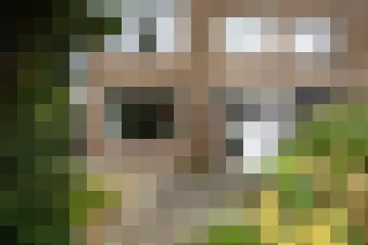 Van den Berghlaan 607 Hoofddorp thumbnail 7