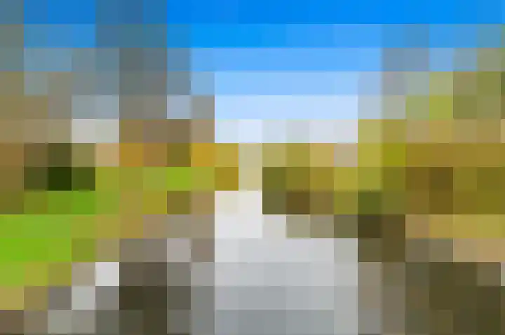 Van den Berghof 1 Delft thumbnail 30