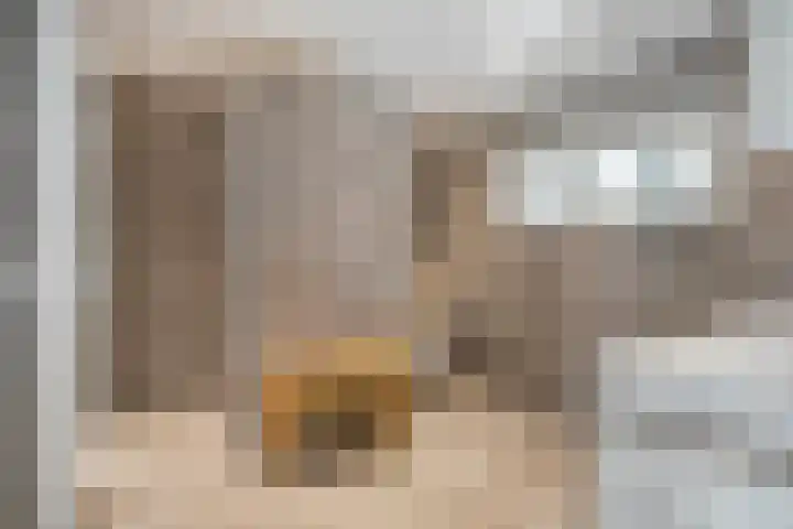 van den Berghstraat 13 Boxmeer thumbnail 27