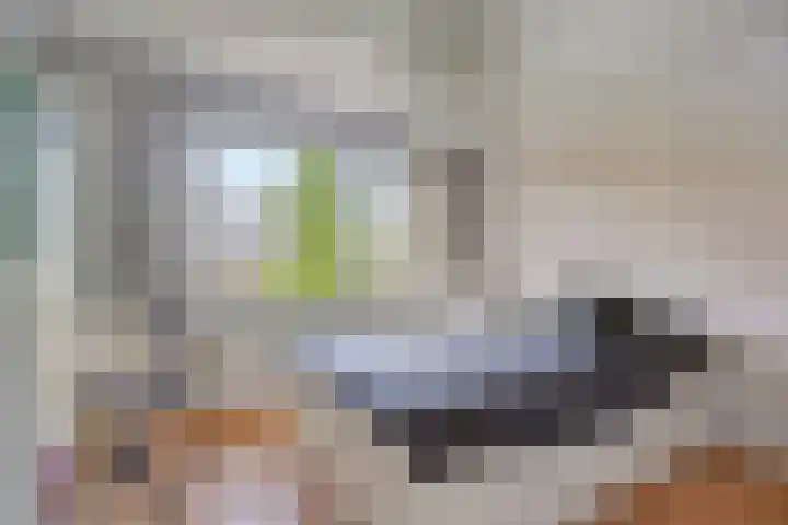 van den Berghstraat 13 Boxmeer thumbnail 32