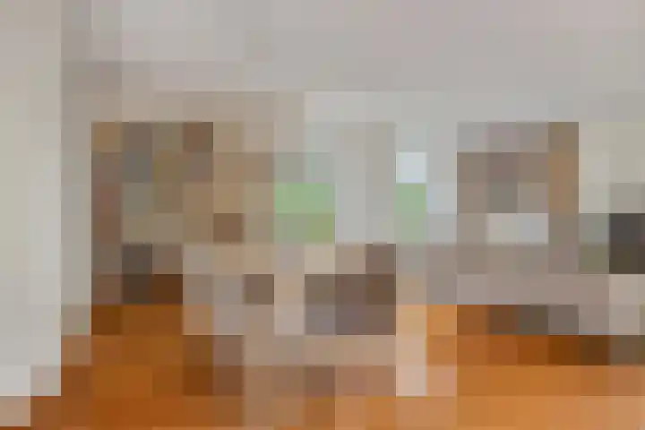 van den Berghstraat 13 Boxmeer thumbnail 4