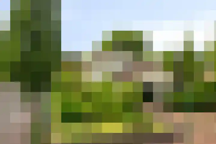 van den Berghstraat 13 Boxmeer thumbnail 56