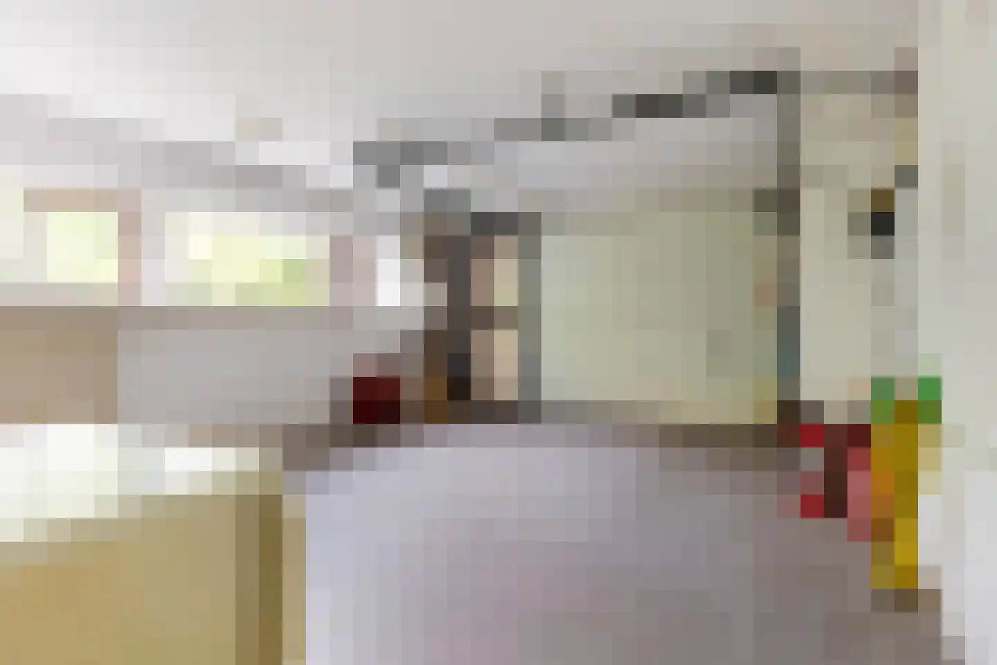 van den Berghstraat 17 Boxmeer thumbnail 18