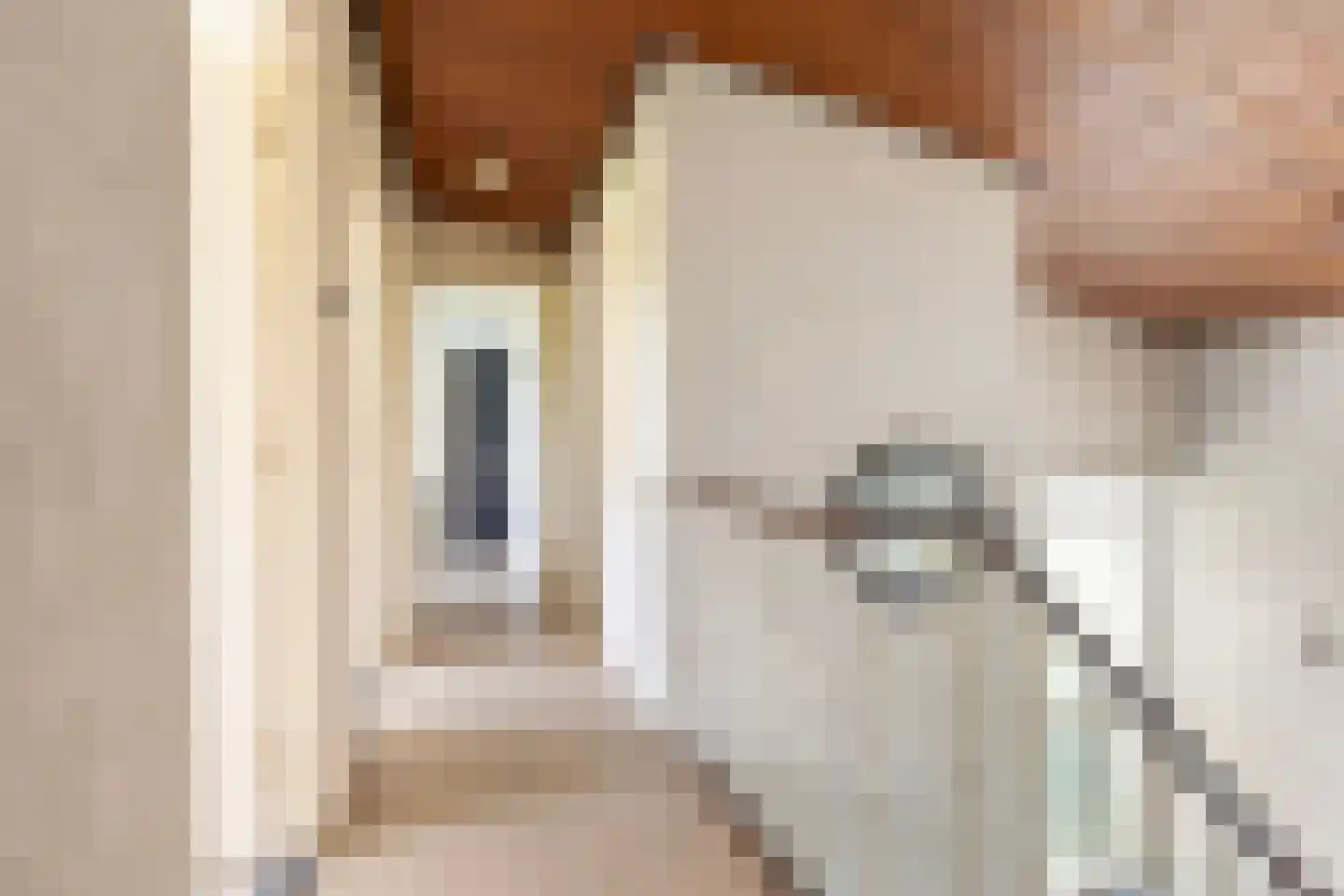 van den Berghstraat 17 Boxmeer thumbnail 19