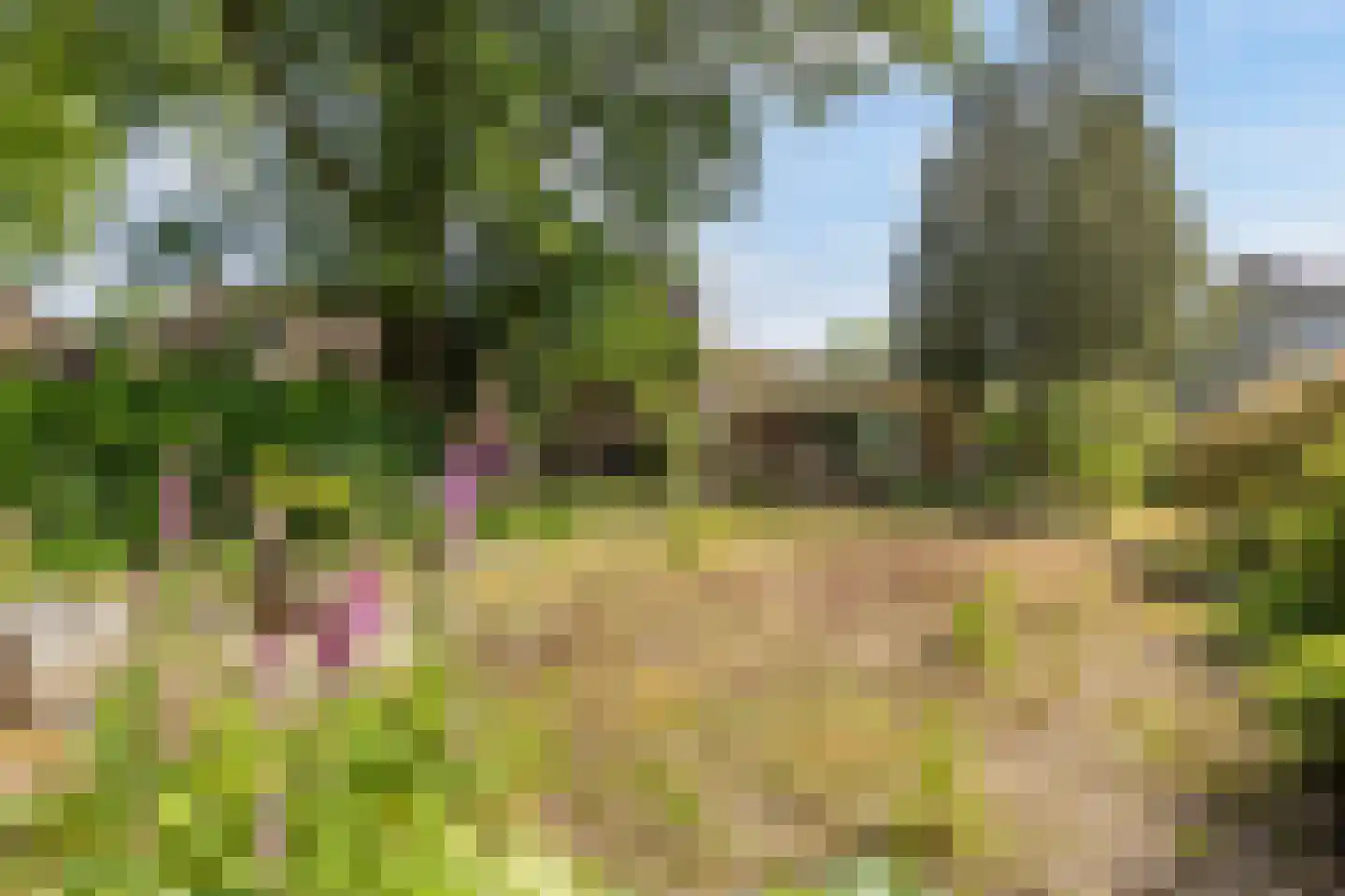 van den Berghstraat 17 Boxmeer thumbnail 36