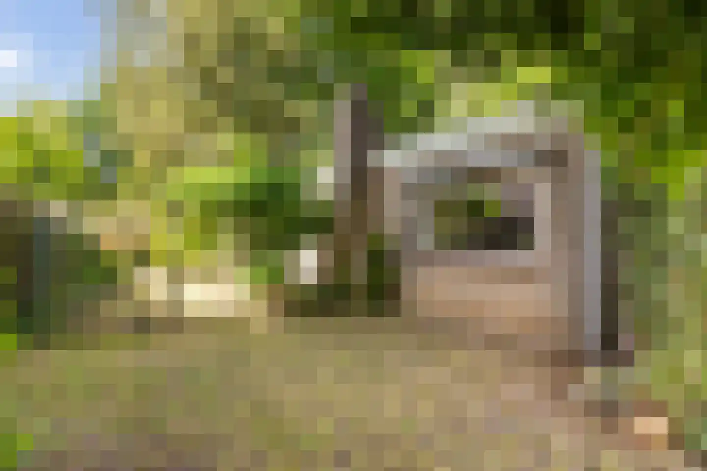 van den Berghstraat 17 Boxmeer thumbnail 37