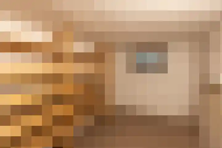 van den Berghweg 38 Didam thumbnail 18