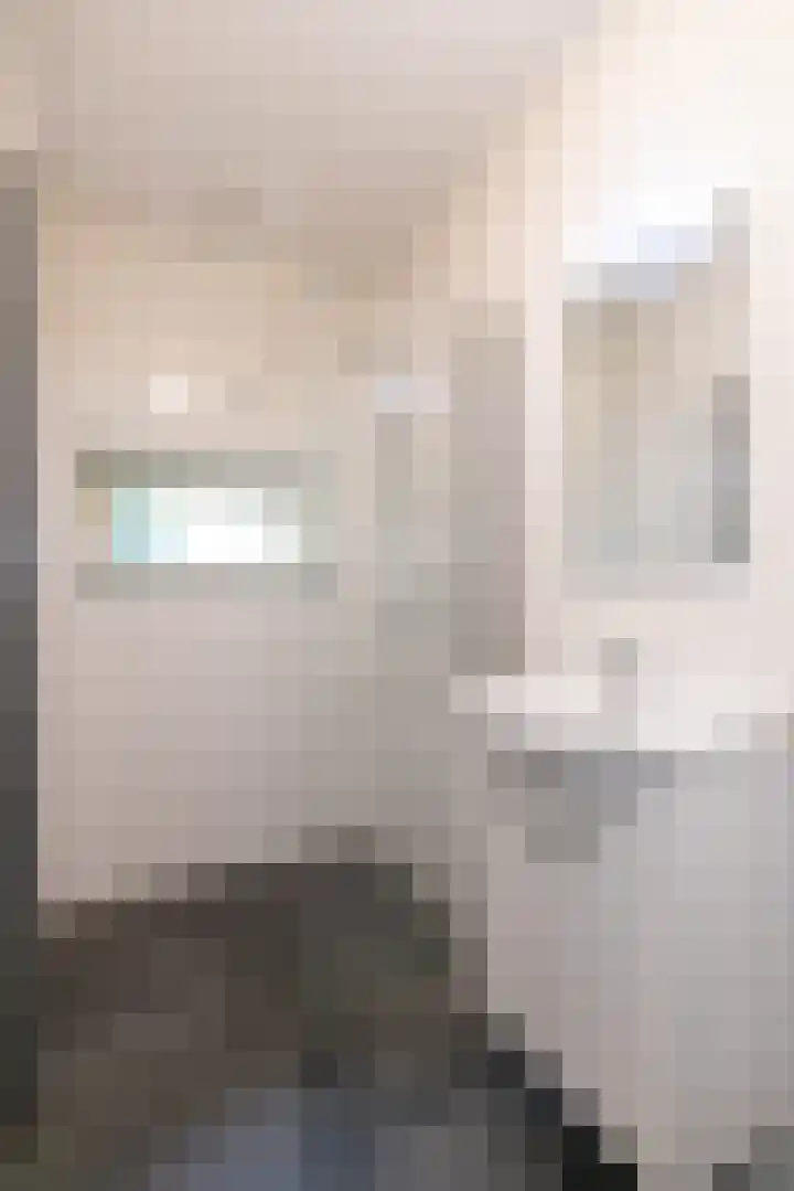 van den Berghweg 38 Didam thumbnail 21