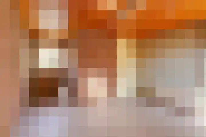 van den Berghweg 38 Didam thumbnail 24