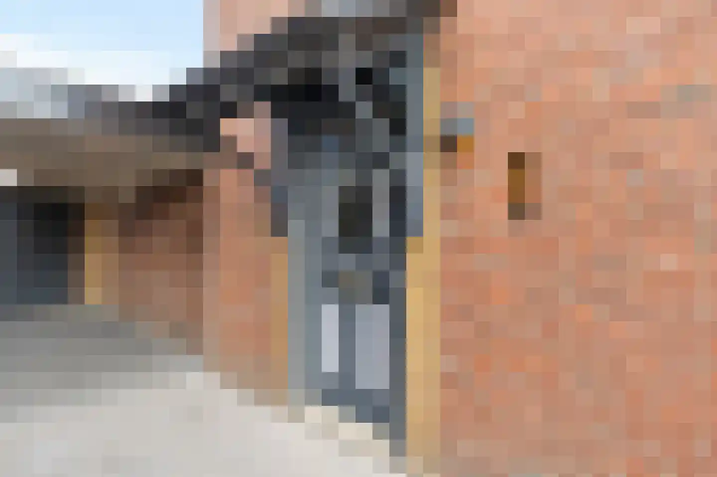van den Berghweg 4 Didam thumbnail 12