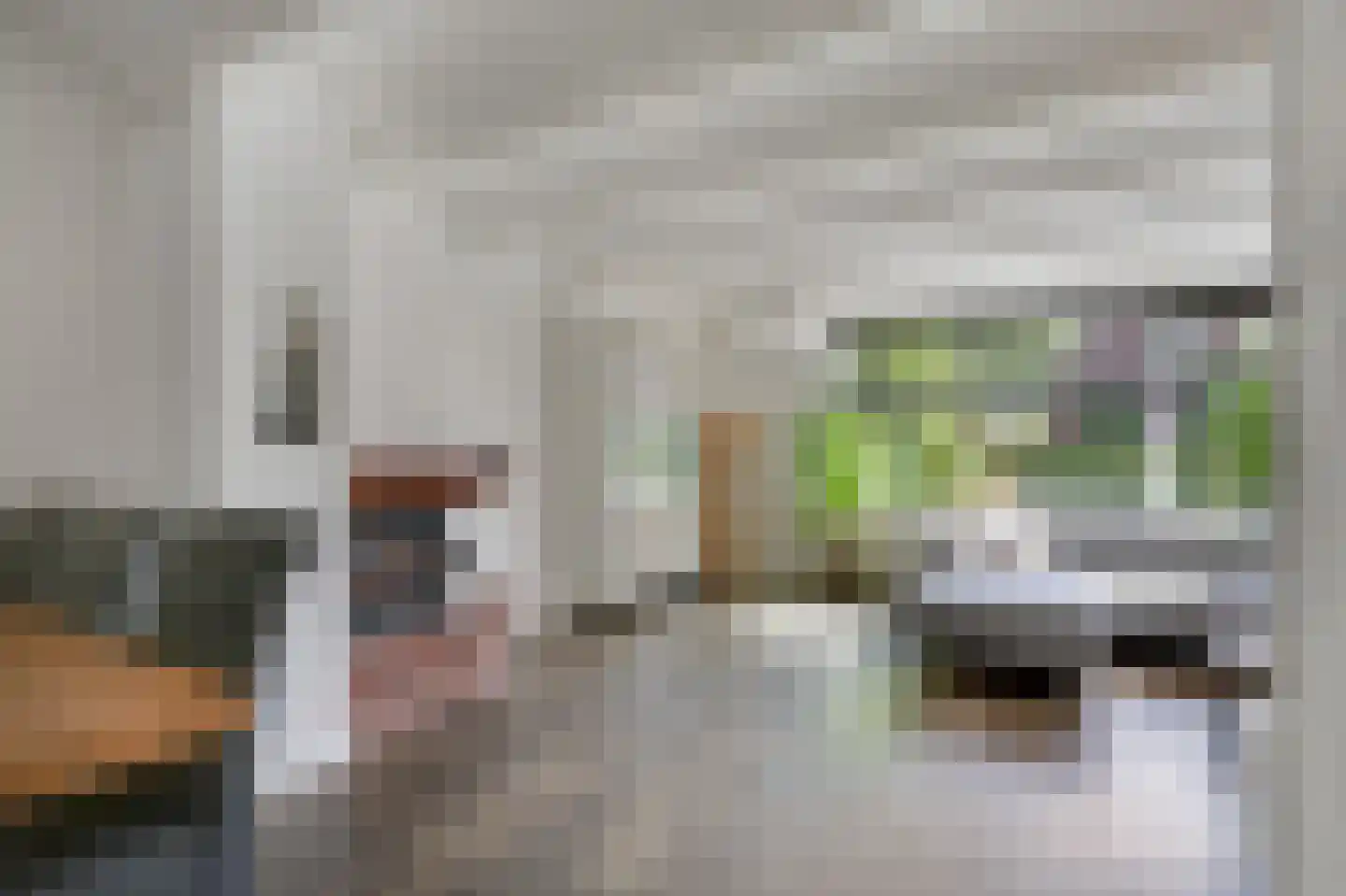 van den Berghweg 4 Didam thumbnail 15