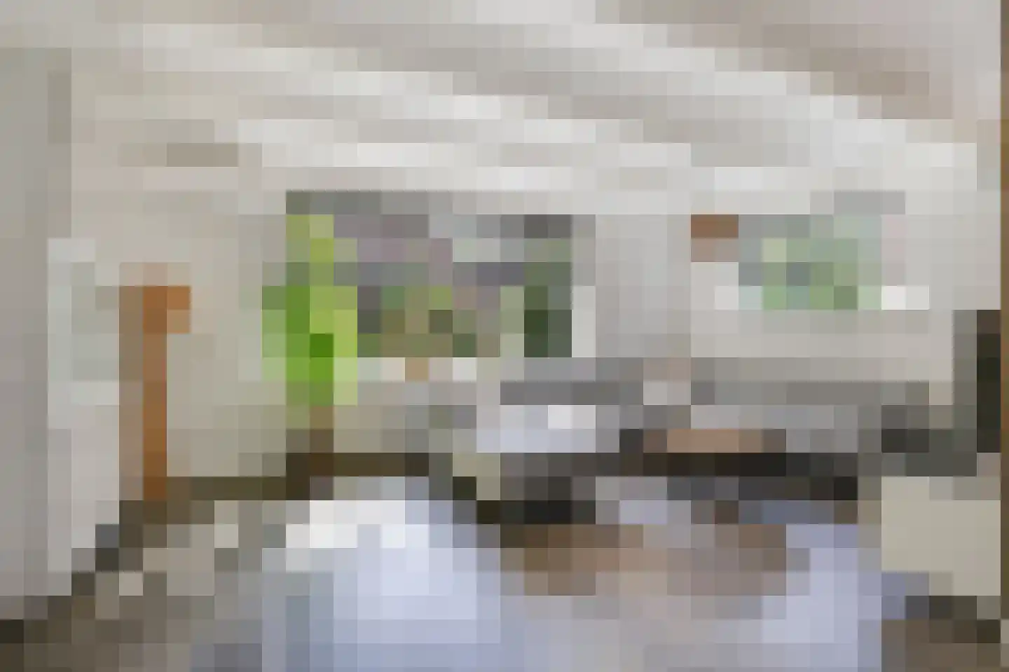van den Berghweg 4 Didam thumbnail 16