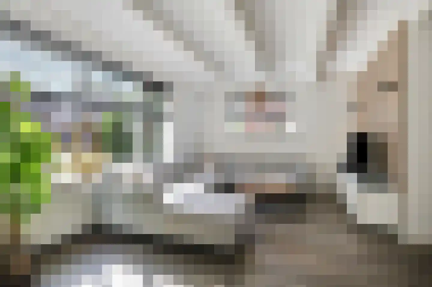 van den Berghweg 4 Didam thumbnail 17