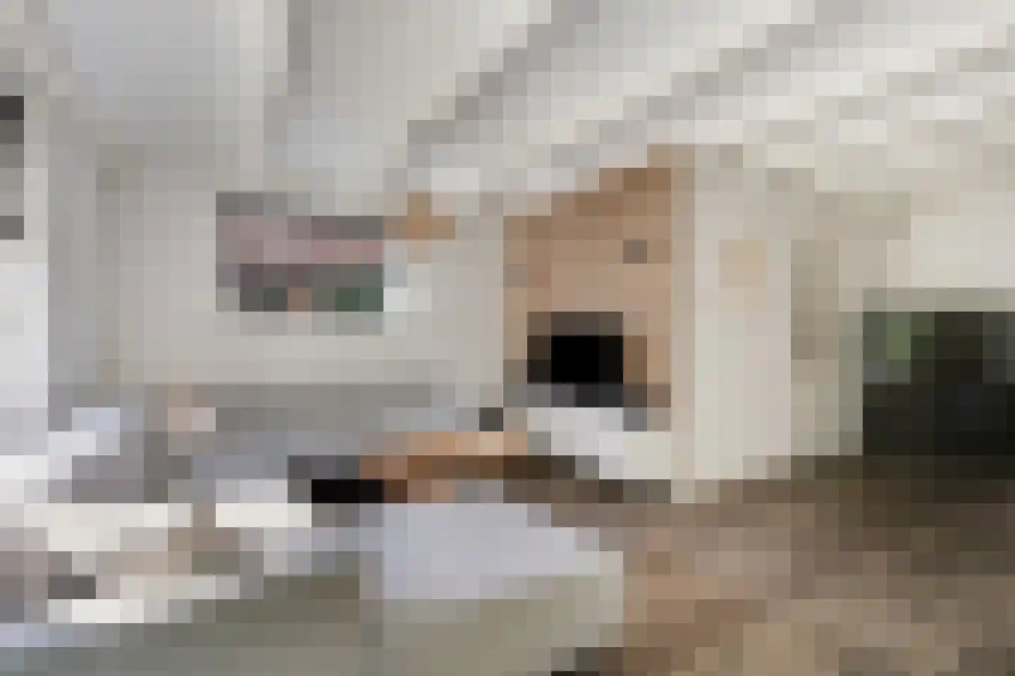 van den Berghweg 4 Didam thumbnail 18