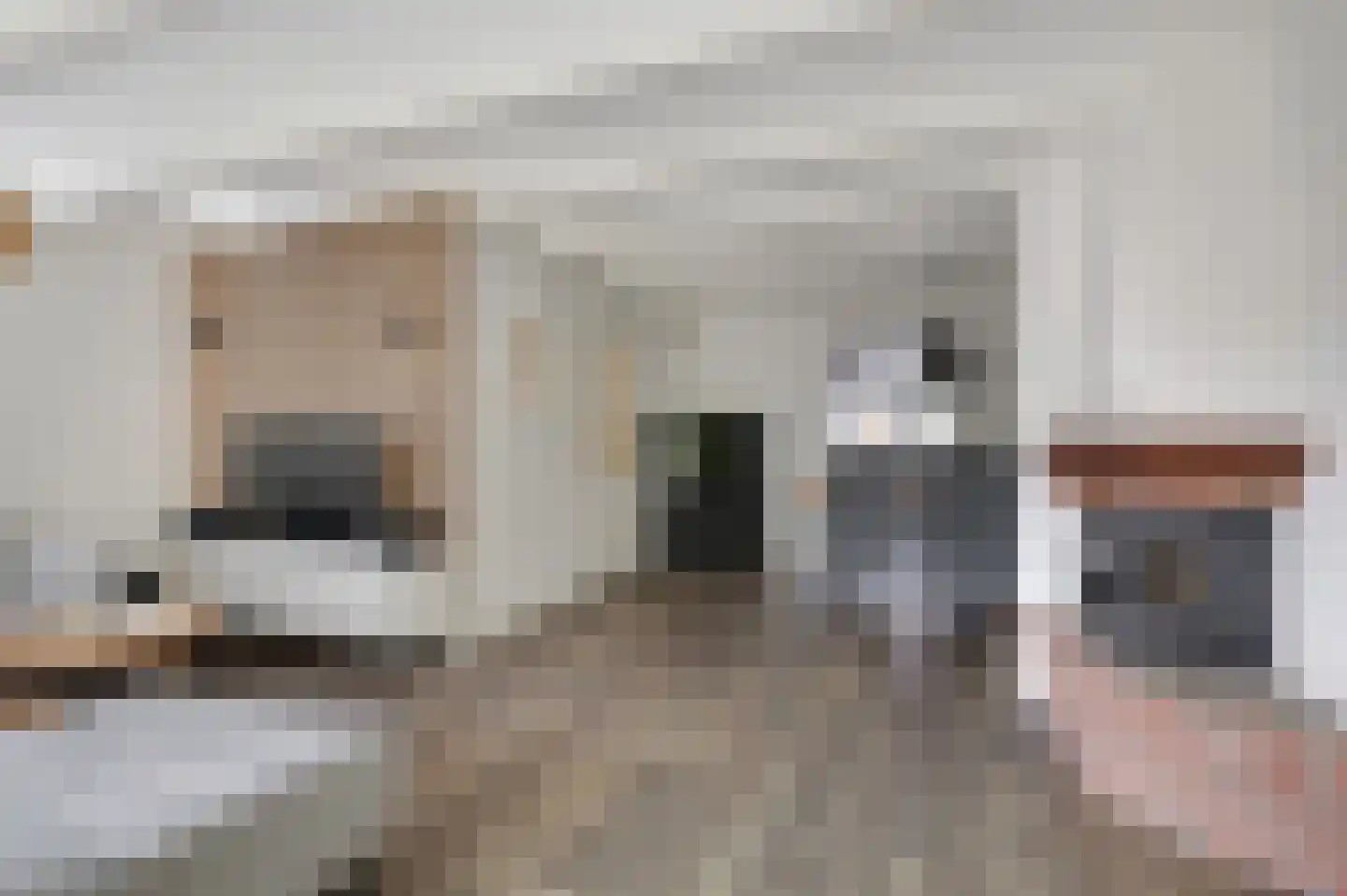 van den Berghweg 4 Didam thumbnail 19