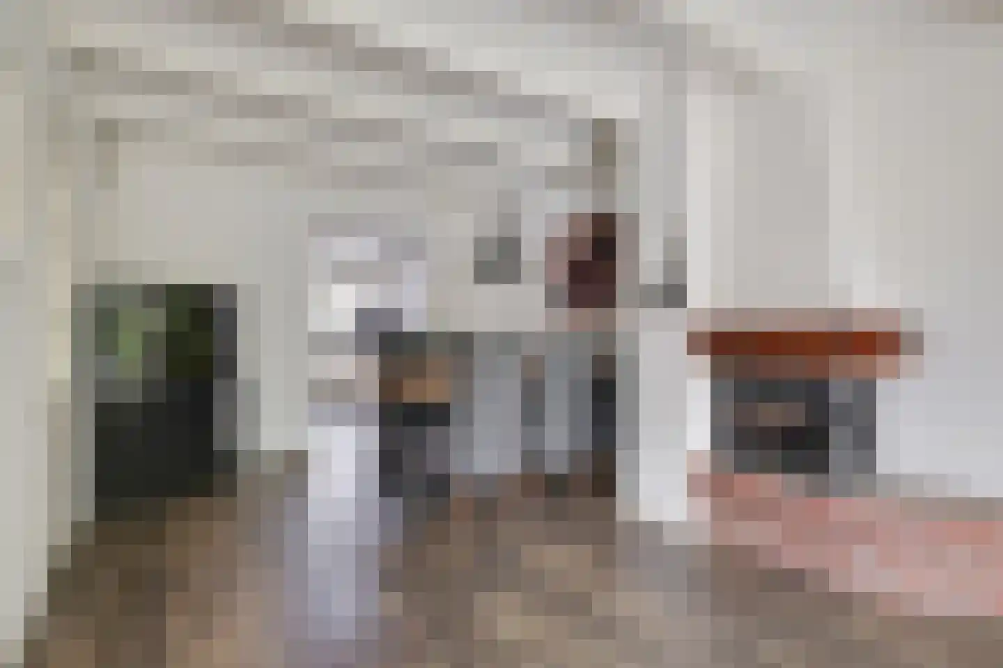 van den Berghweg 4 Didam thumbnail 21