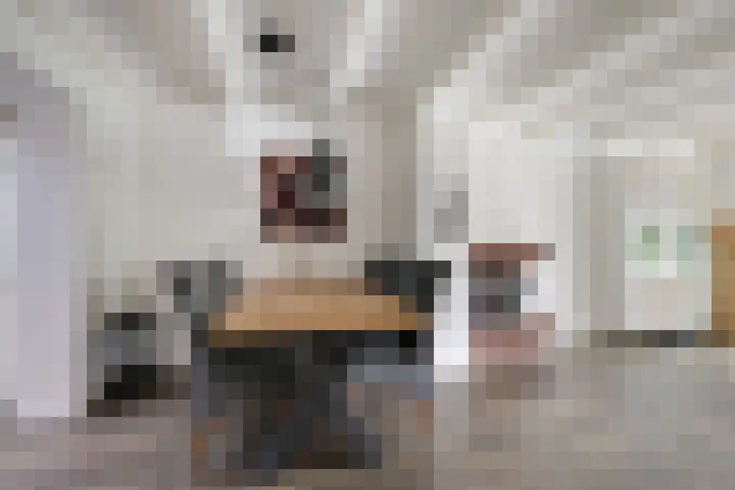 van den Berghweg 4 Didam thumbnail 22