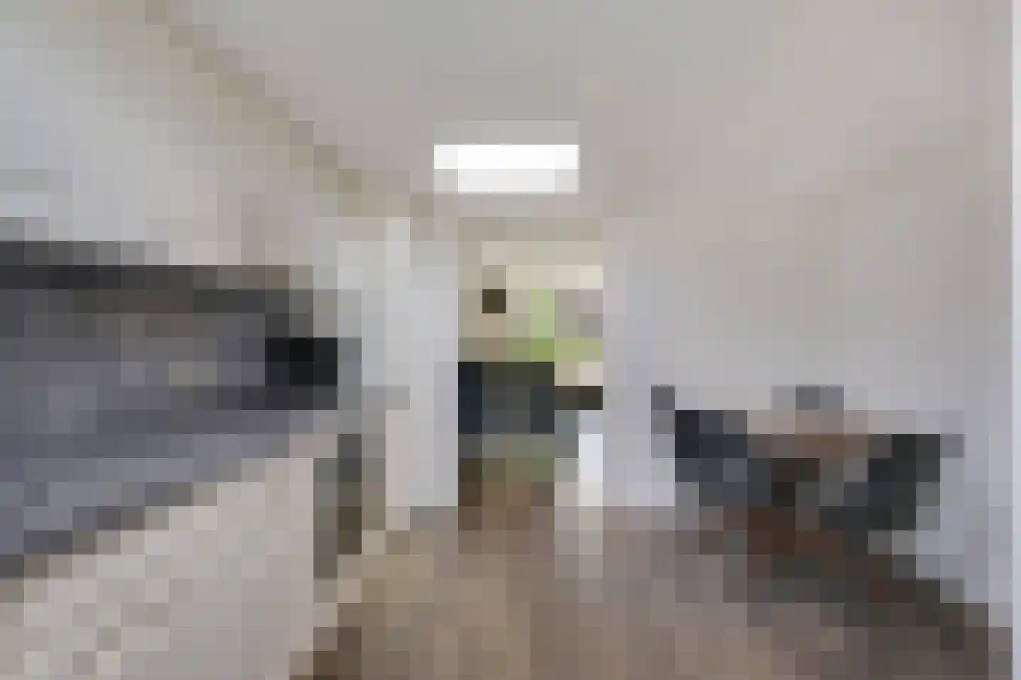 van den Berghweg 4 Didam thumbnail 26